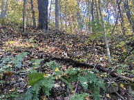 #4: View to the south from the confluence point. 