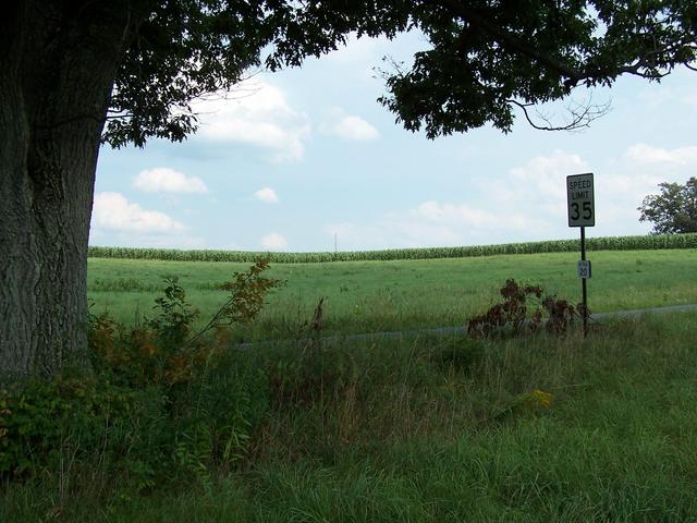 Overview looking NE from North Road.