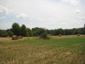 #9: Round Bails of Hay