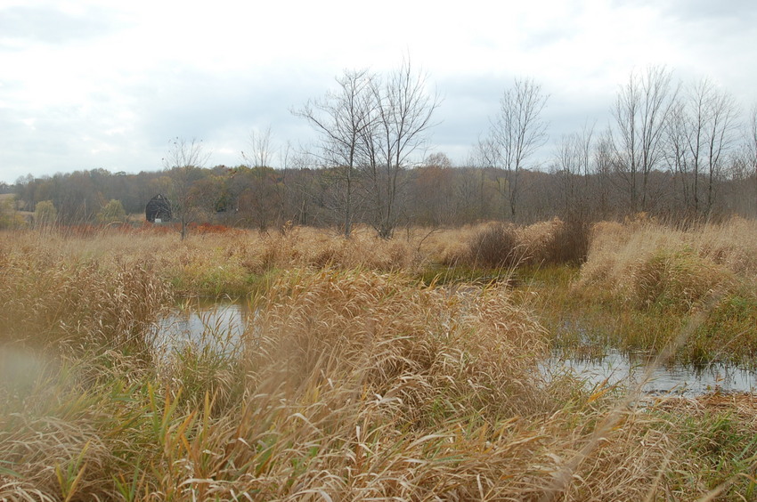 East - the main river