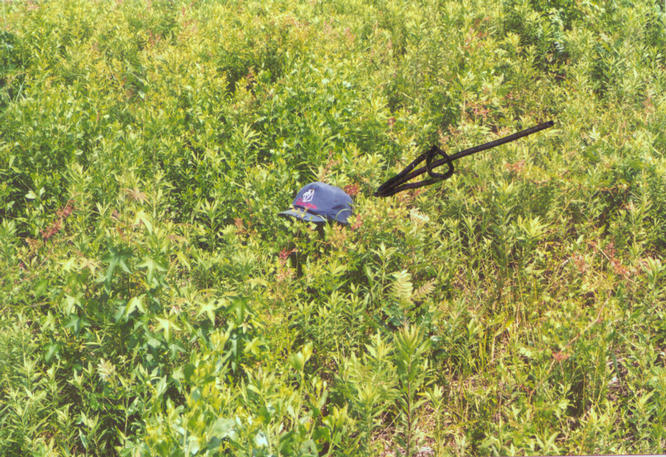 Hat marks the spot in the wildflowers.