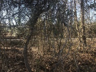 #7: View to the west from the confluence. 