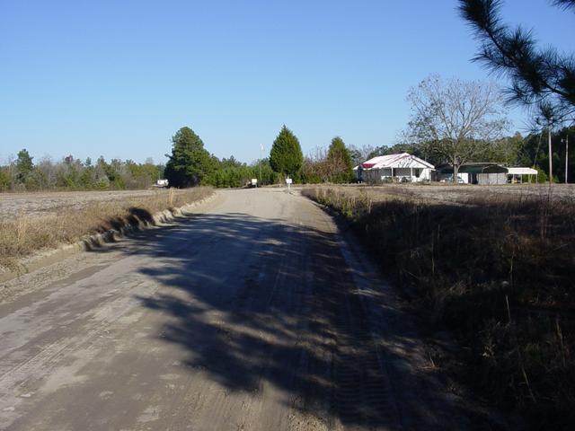 Looking East from the confluence point