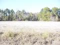 #2: Looking North from the confluence point