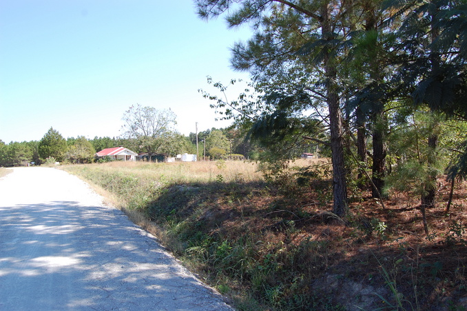 Looking east from the confluence.