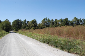 #1: Looking west from the confluence.