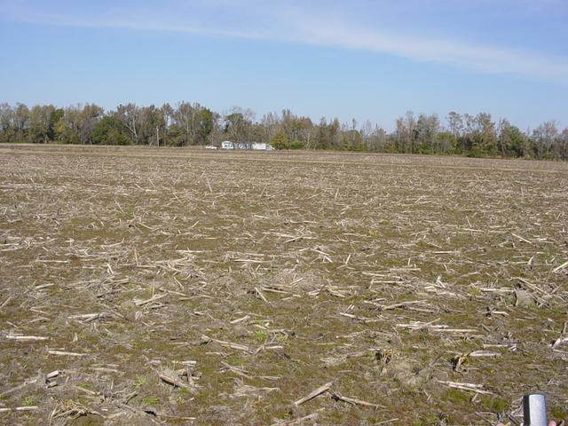 Looking North from the confluence point