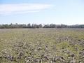 #2: Looking East from the confluence point