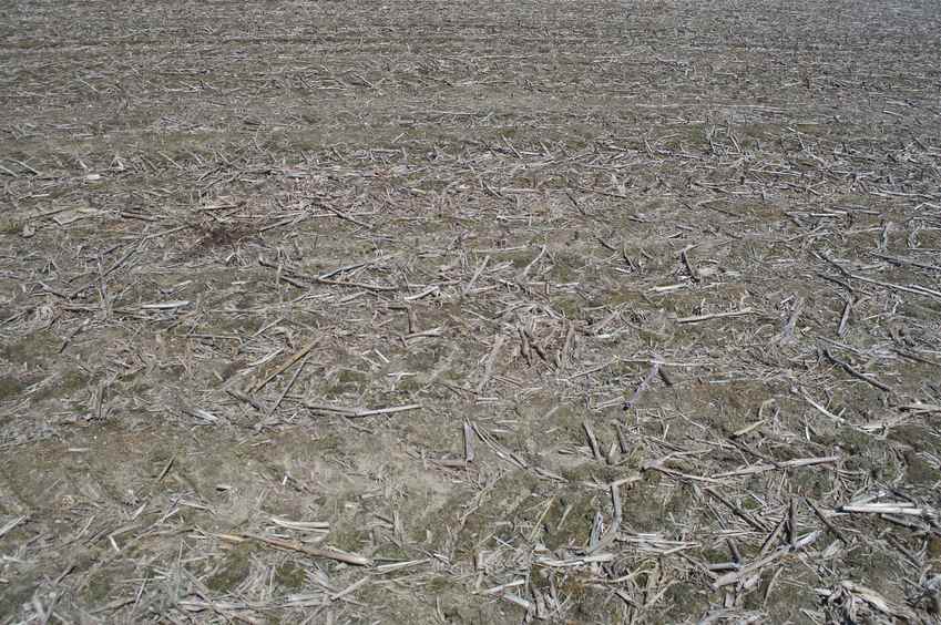 The confluence point lies in an empty (recently harvested) corn field