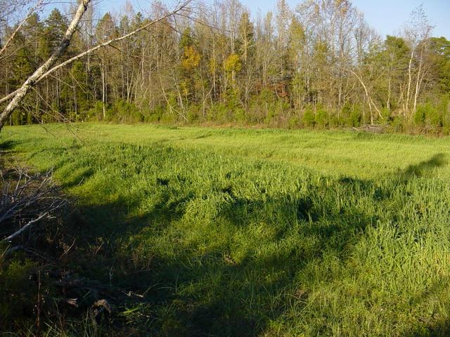 Confluence point in this field