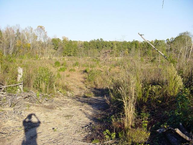 Path to the confluence point