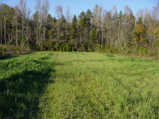 Looking North from the confluence point