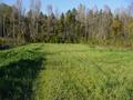 #3: Looking North from the confluence point