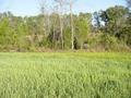 #4: Looking East from the confluence point