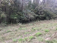 #5: View to the north from the confluence point.