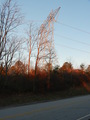 #5: An imposing tower looms over 35N 83W.