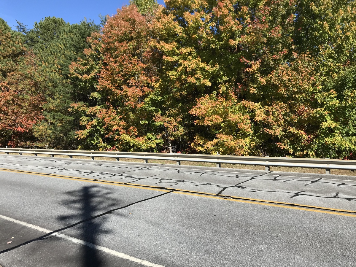 Site of 35 North 83 West, with powerline shadow, in the middle of the road, looking northeast. 