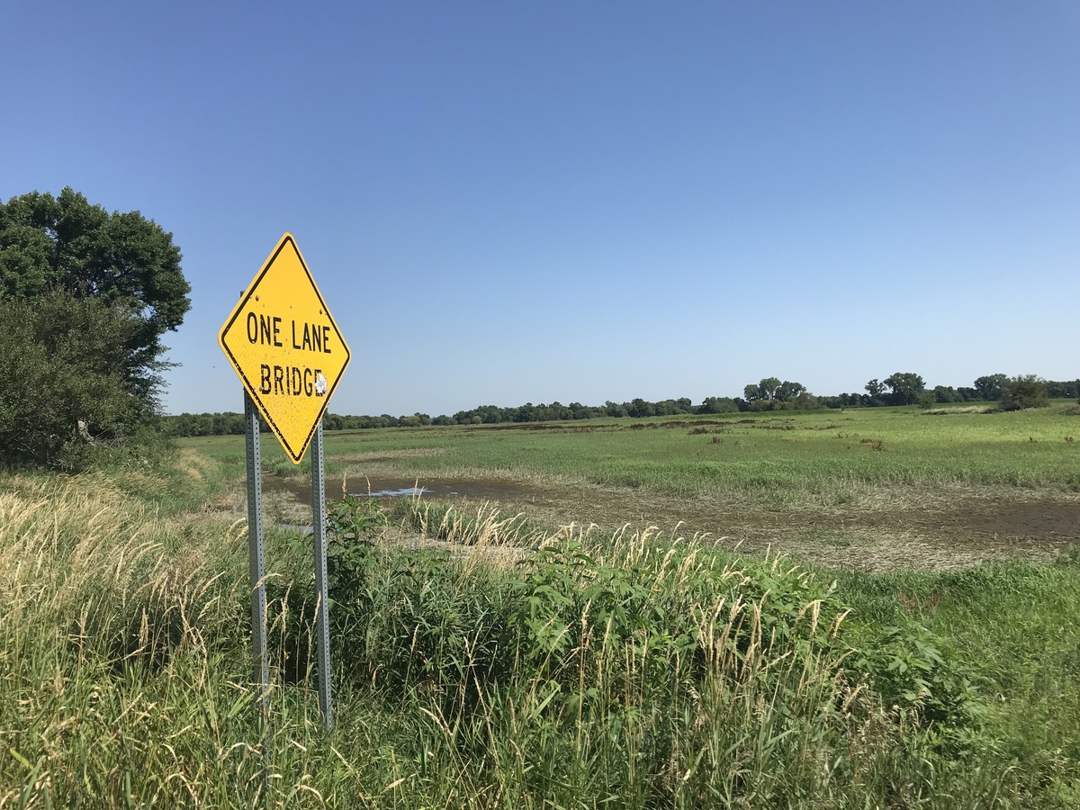 The confluence wetland in the distance, looking north from the nearest trail. 