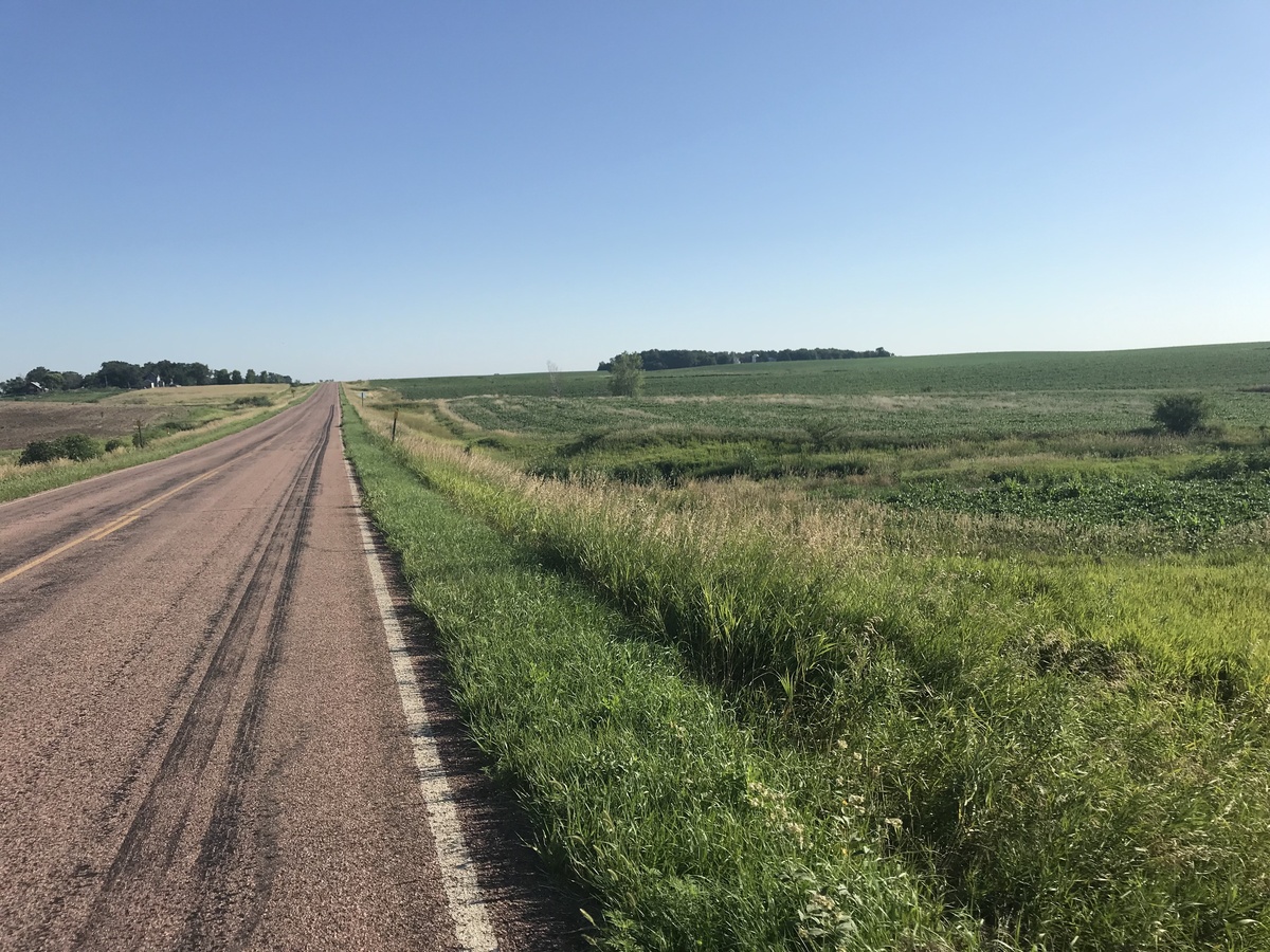 Road to the west of the confluence point, looking north. 