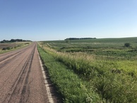 #9: Road to the west of the confluence point, looking north. 