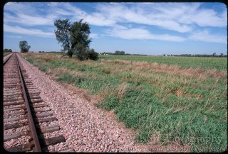 #1: The confluence, near the second fencepost to the left.