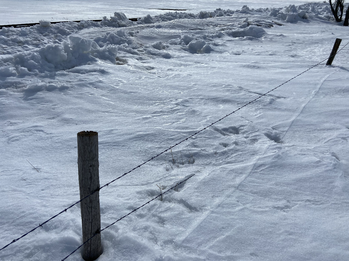 Snow covered fences near the confluence point.