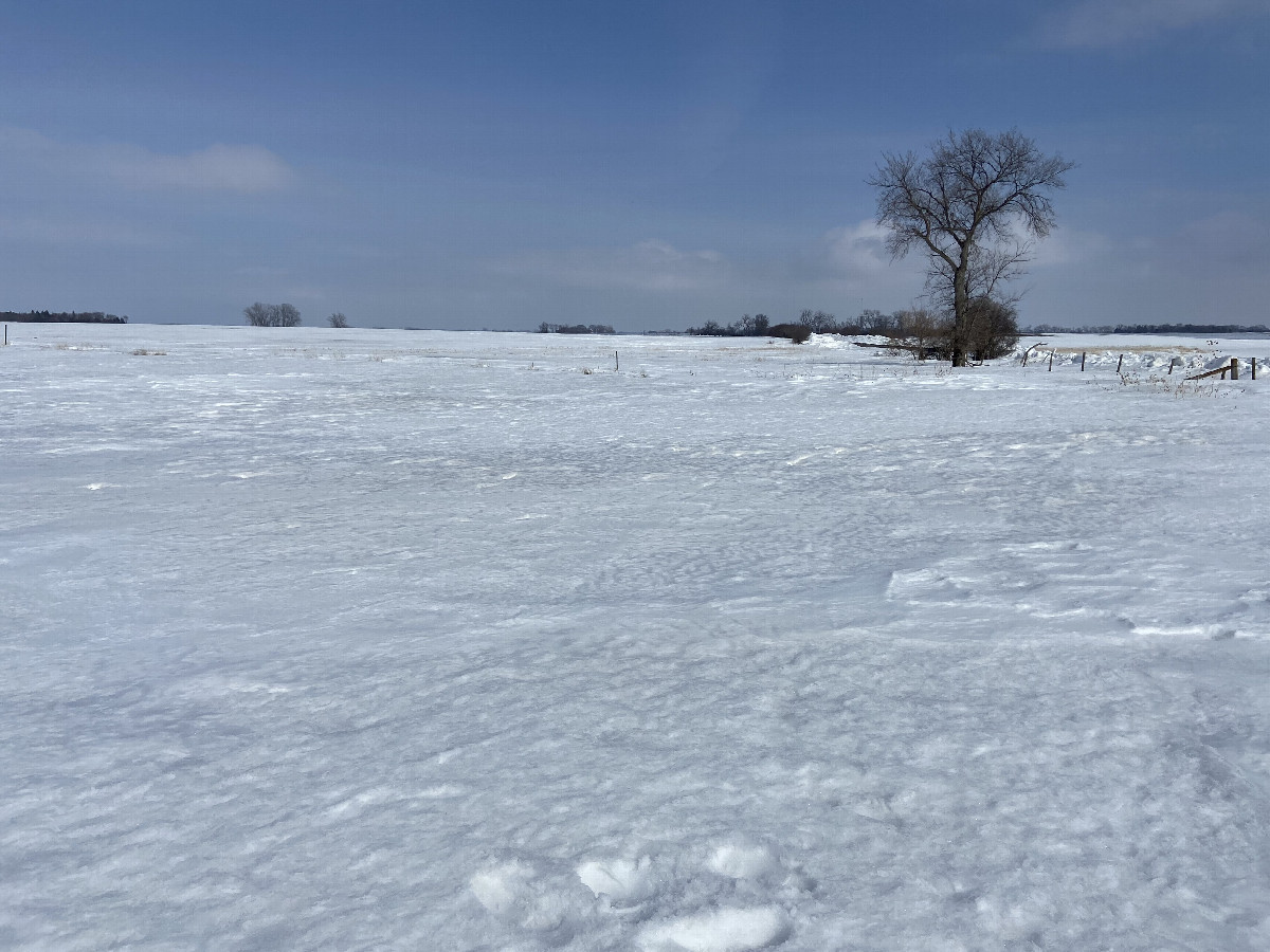 View To the east from the confluence point