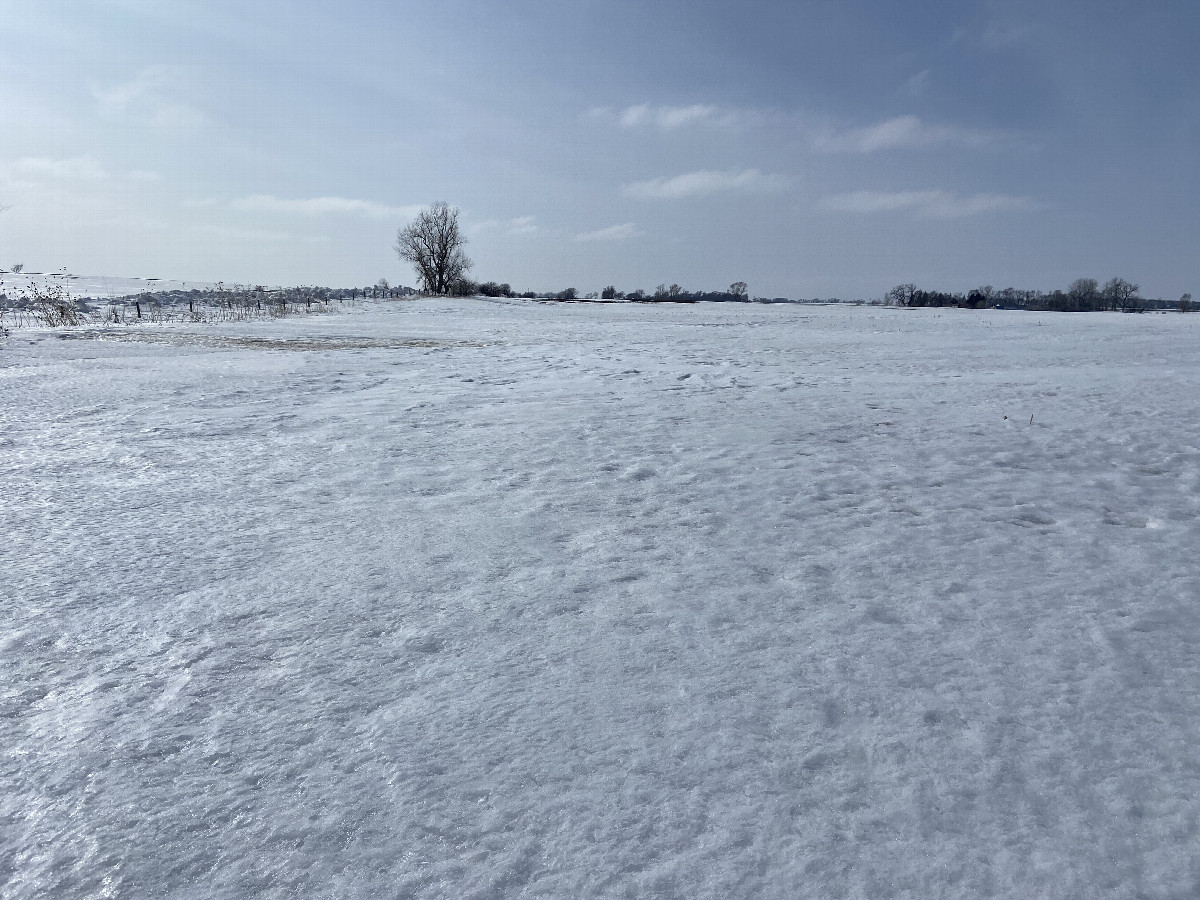 View to the west from the confluence point.