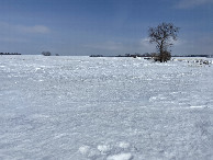 #3: View To the east from the confluence point