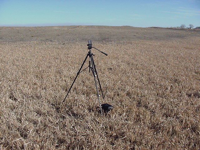 At the site looking East.