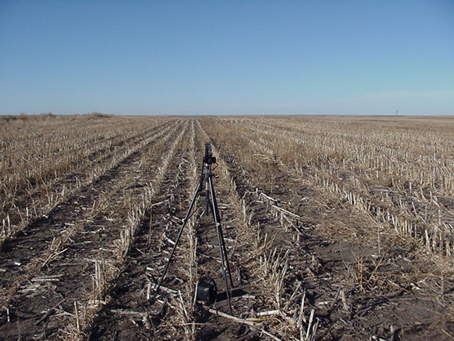 At the site looking West.