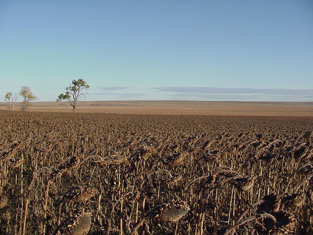 At the site looking north