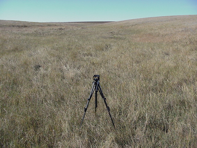 At the Site Looking SW up the draw.