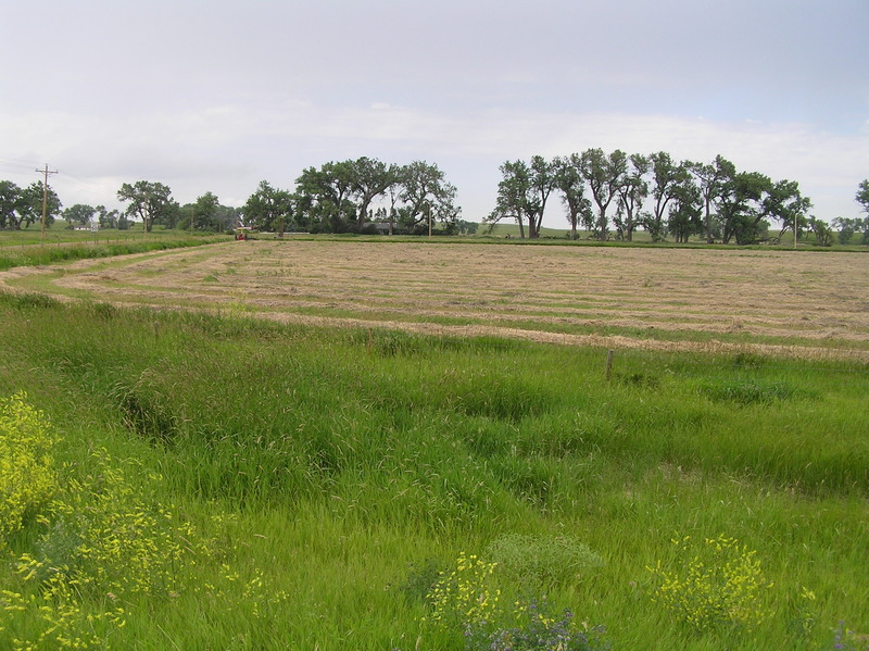 View to the north from the confluence.