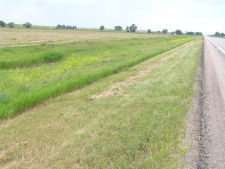 #1: Site of 44 North 103 West, in the foreground, looking due east.