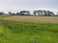 #4: View to the north from the confluence.