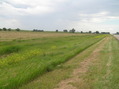 #5: View to the east from the confluence.