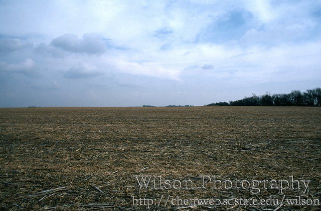 Looking East from the confluence.