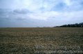 #4: Looking East from the confluence.