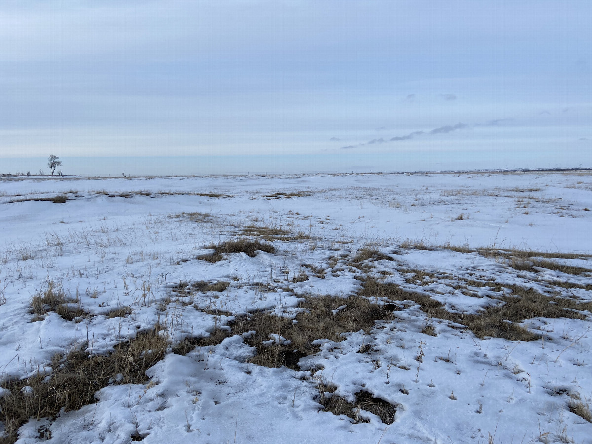 View to the north from the confluence point.