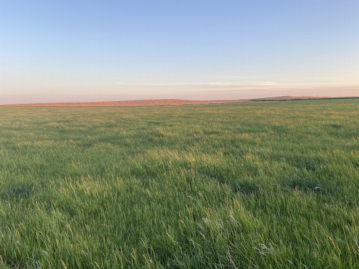 View to the south from the confluence point. 