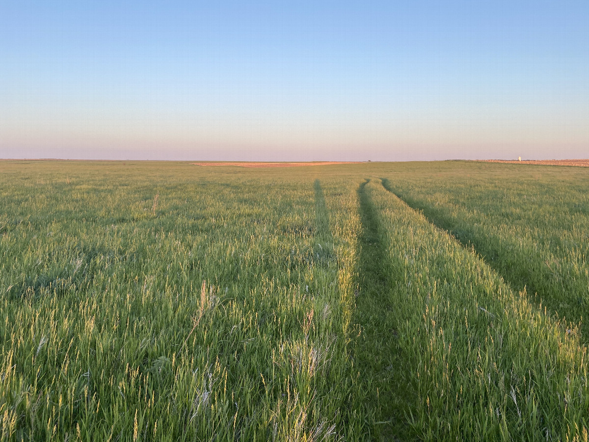 Track en route to and south of the confluence.  