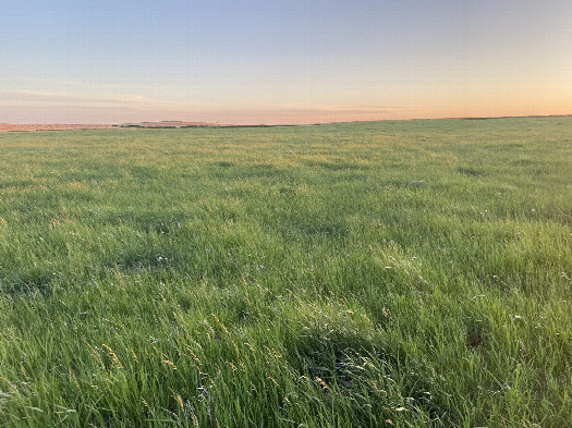 #1: The confluence site with the point in the foreground, looking southeast. 