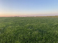 #2: View to the north from the confluence point. 