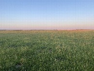 #3: View to the east from the confluence point. 