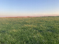 #4: View to the south from the confluence point. 