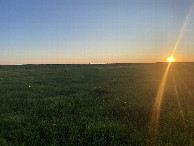 #5: View to the west from the confluence point. 