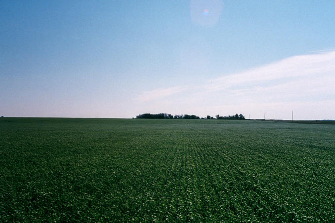 view east from the confluence