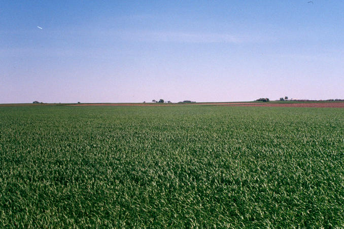 view north from the confluence