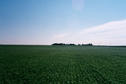 #2: view east from the confluence